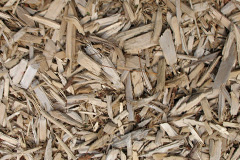 biomass boilers Llecheiddior